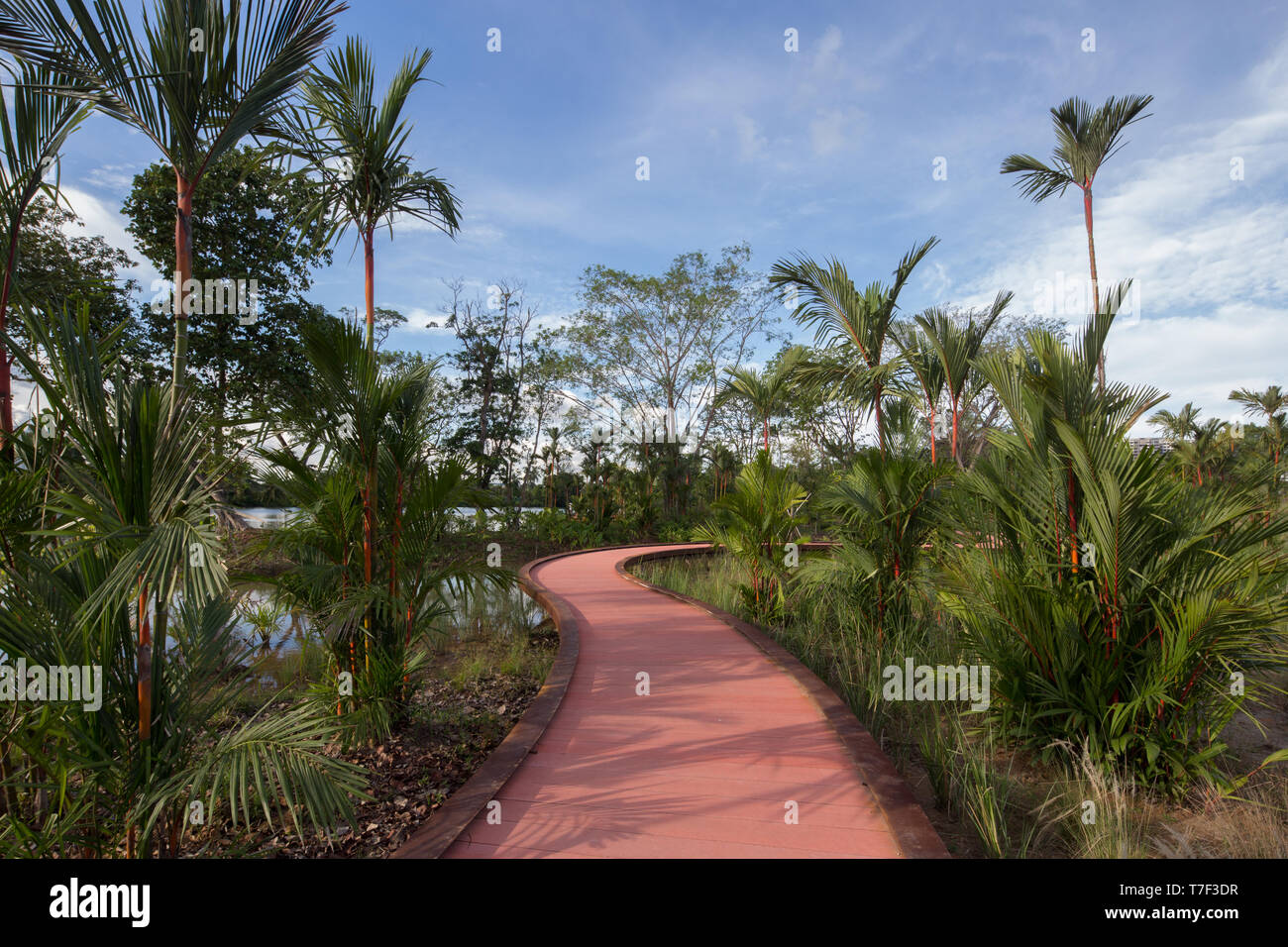 Adapté le long des jardins du lac de Jurong, Rasau Marche des méandres à travers des grappes de plantes. Singapour, Asie Du Sud-Est. Banque D'Images