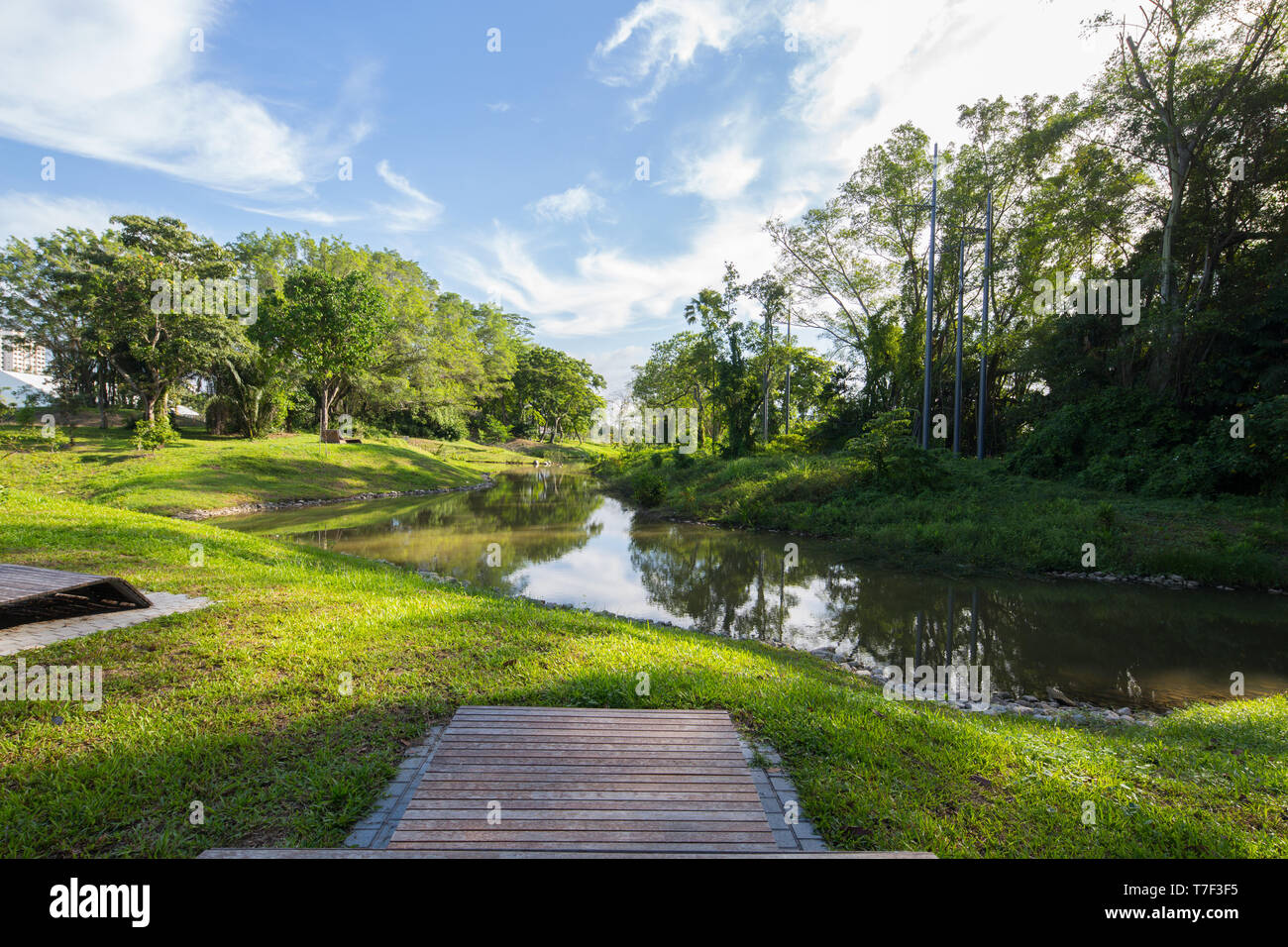 Vue panoramique sur Jurong Lake Gardens, Singapour Banque D'Images