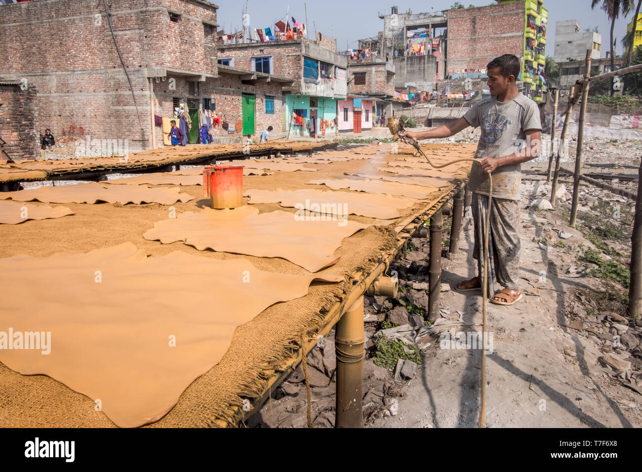 Travailleur masculin est perçu comme il peint cuir avec projection de peinture machine dans la zone de traitement du cuir (tanneries district) à Dhaka, Bangladesh Banque D'Images