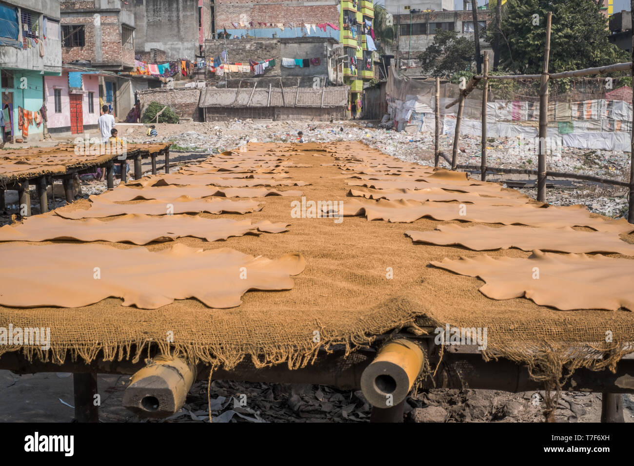 Cuir peint est le séchage dans la zone de traitement du cuir (tanneries district) à Dhaka, Bangladesh Banque D'Images