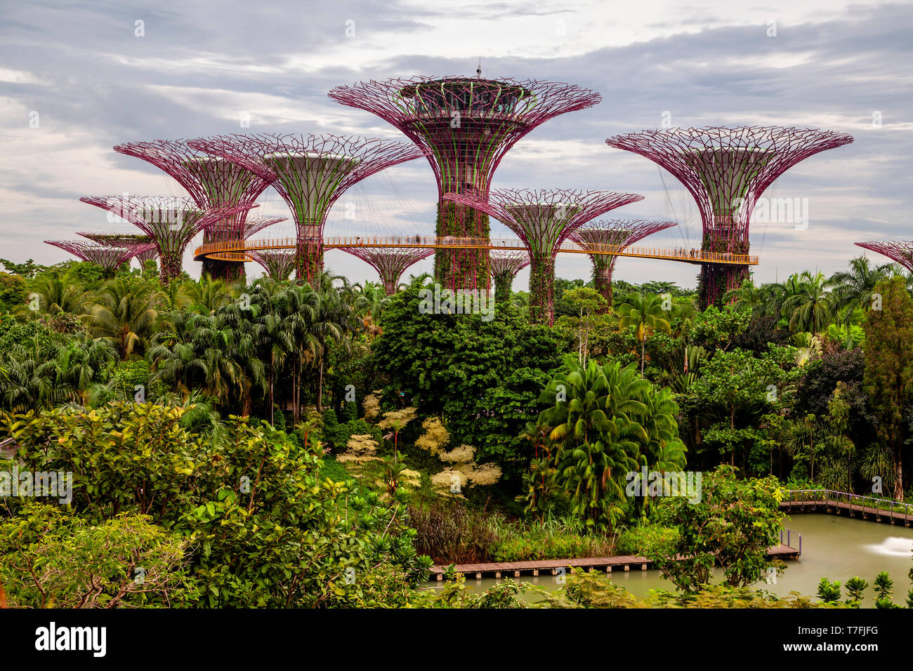 Supertrees Au Gardens By The Bay Nature Park, à Singapour, en Asie du sud-est Banque D'Images