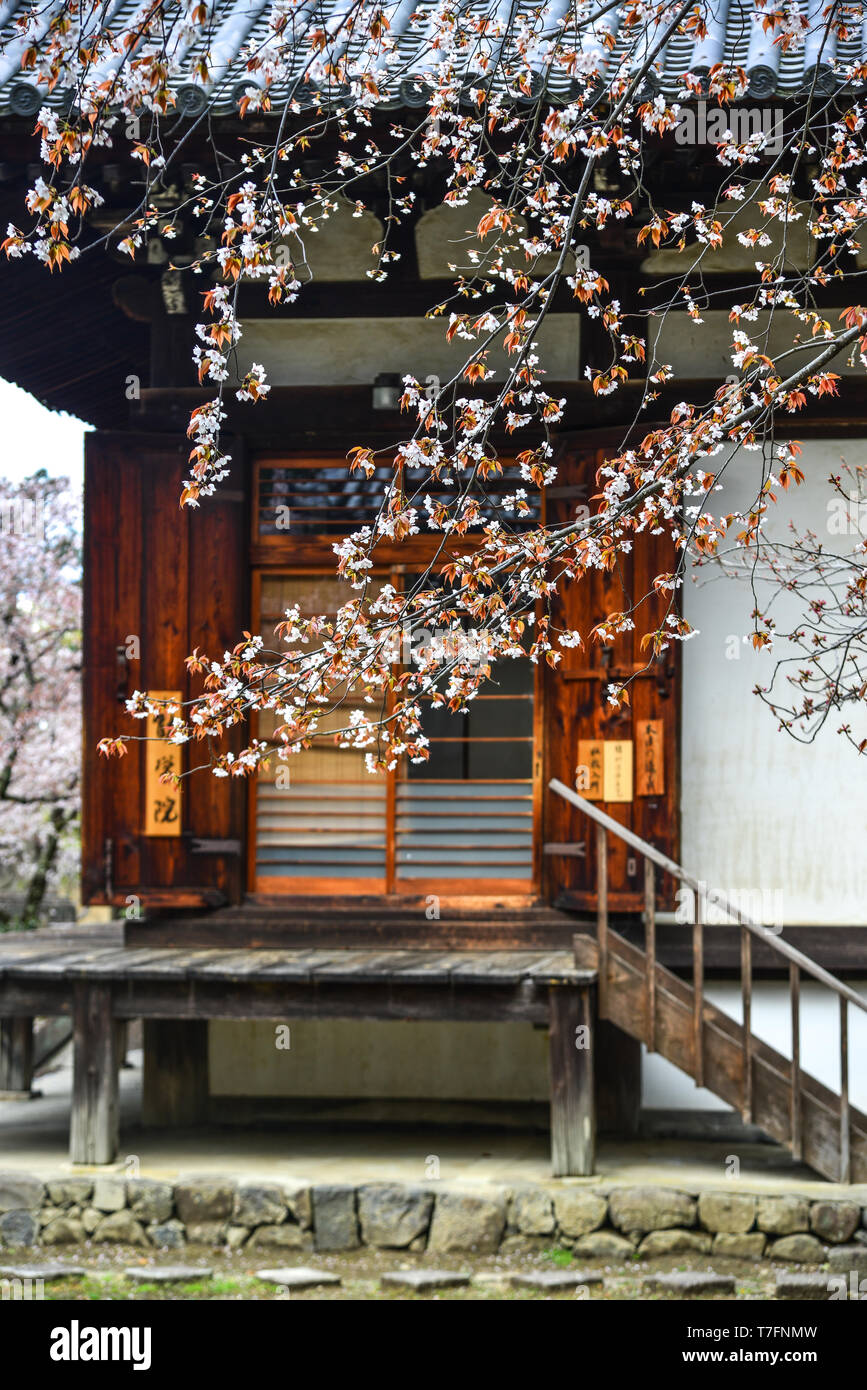 Nara, Japon - Apr 10, 2019. Fleurs de cerisier avec ancien bâtiment à Nara, au Japon. Nara est l'ancienne capitale du Japon, avec beaucoup d'héritages. Banque D'Images