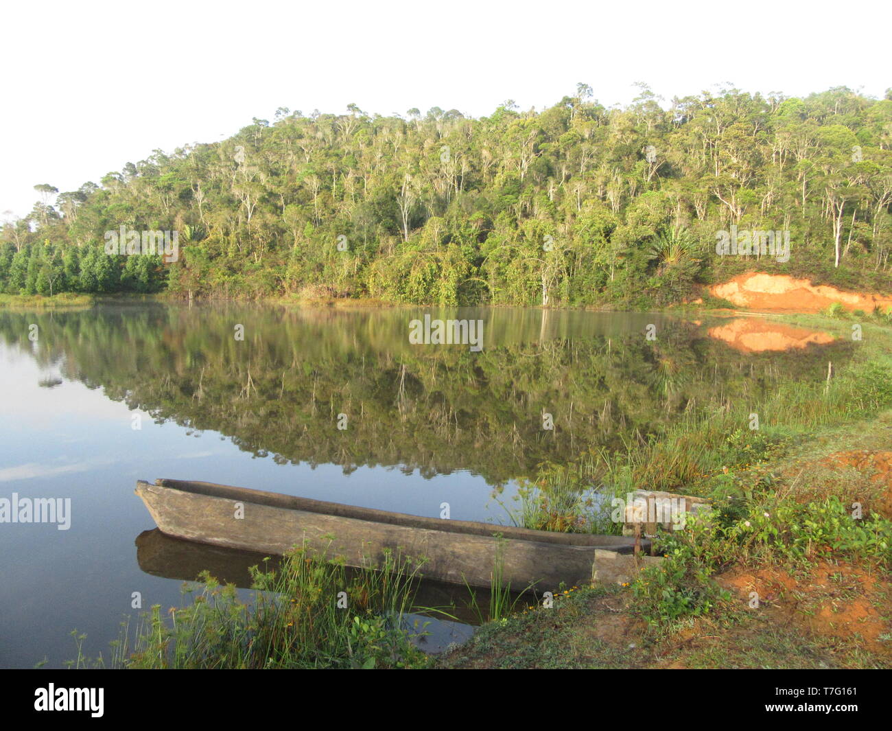 Lake au petit matin près de Parc National Parc Mantadia- Andasibe (Périnet), Madagascar Banque D'Images