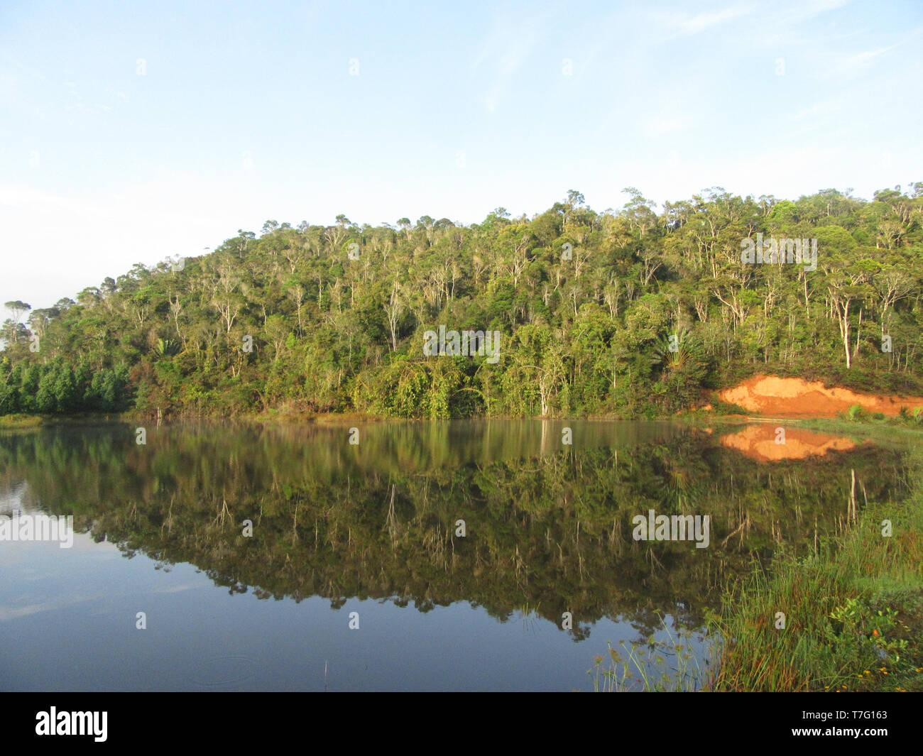 Lac entouré de petites collines couvertes de jungle naturelle près de Parc National Parc Mantadia- Andasibe (Périnet), Madagascar Banque D'Images