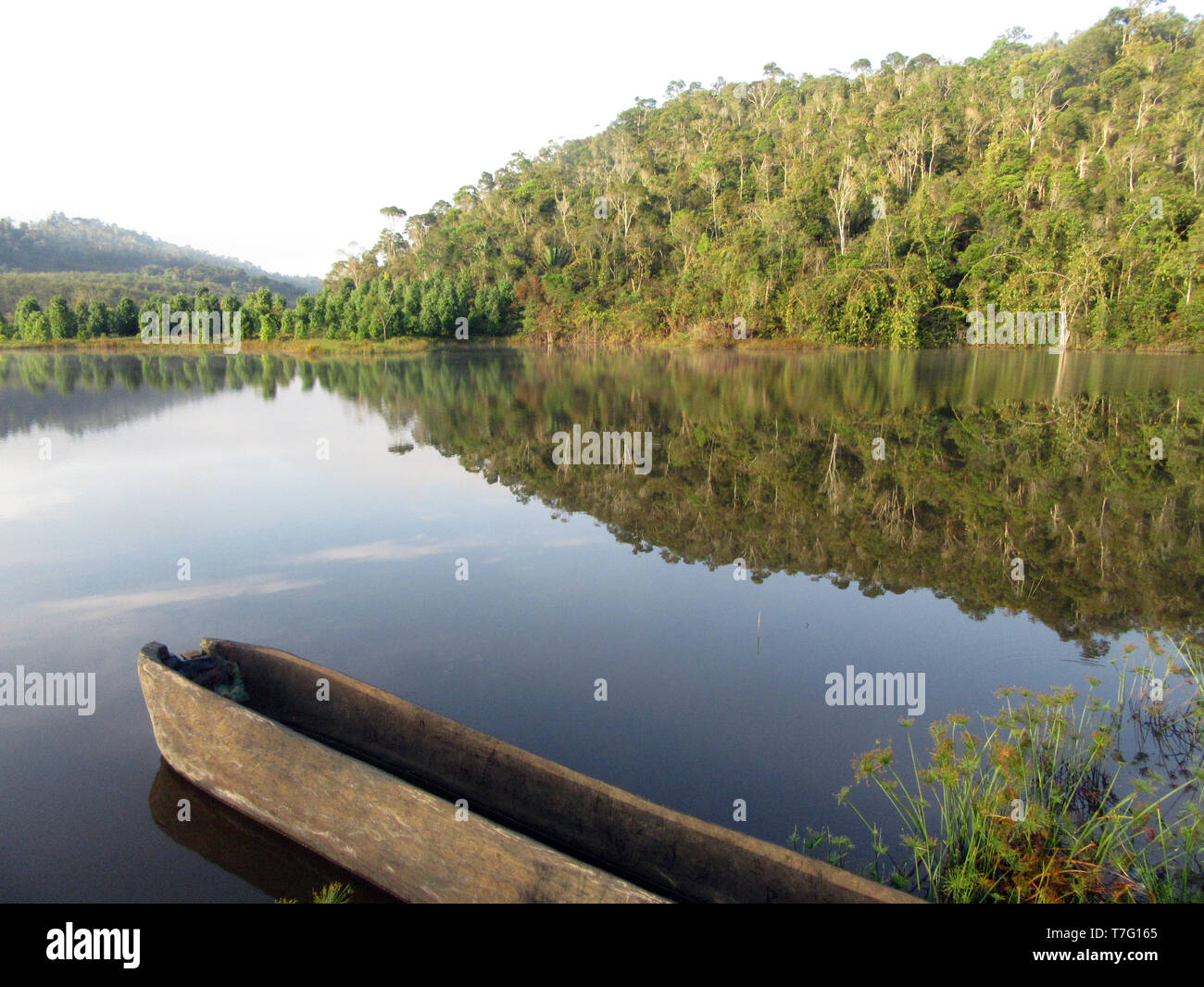 Lake au petit matin près de Parc National Parc Mantadia- Andasibe (Périnet), Madagascar Banque D'Images