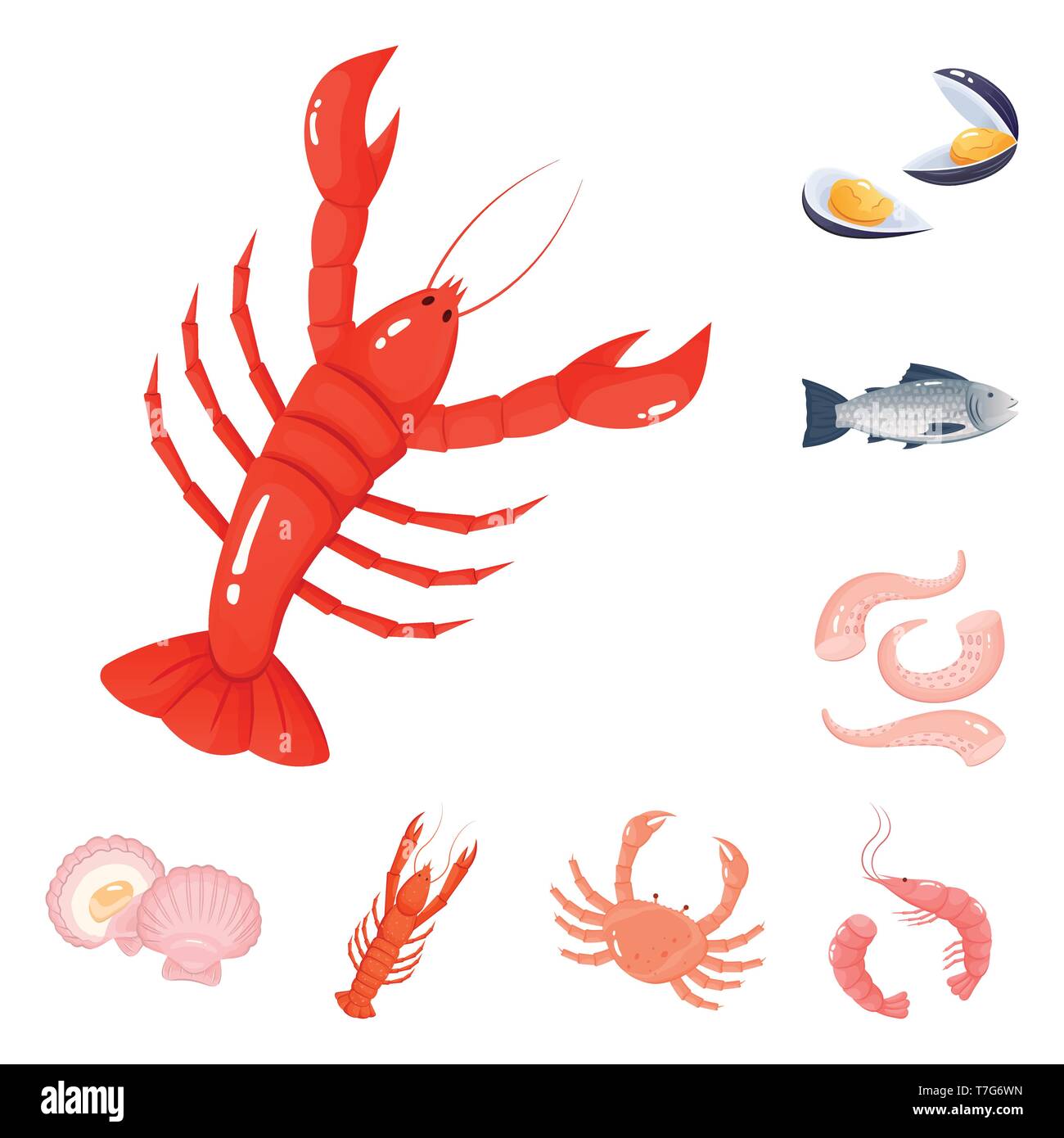 Le homard moules,saumon,octopus,méduse,crevettes,crabe, écrevisse,,clam,les poissons,les calmars cuits,shell,crevettes,viande,fontaine,,tentacle,jelly,bateau,tentacules,oyster,délicatesse,monster,animal,,rouge,menu,phosphore,créature,mer,fruits de mer,sain,produits,frais,océan,restaurant,marché,set,marine,vector icon,illustration,collection,isolé,design,graphisme,élément signe,caricature,couleur,vecteurs vecteur , Illustration de Vecteur