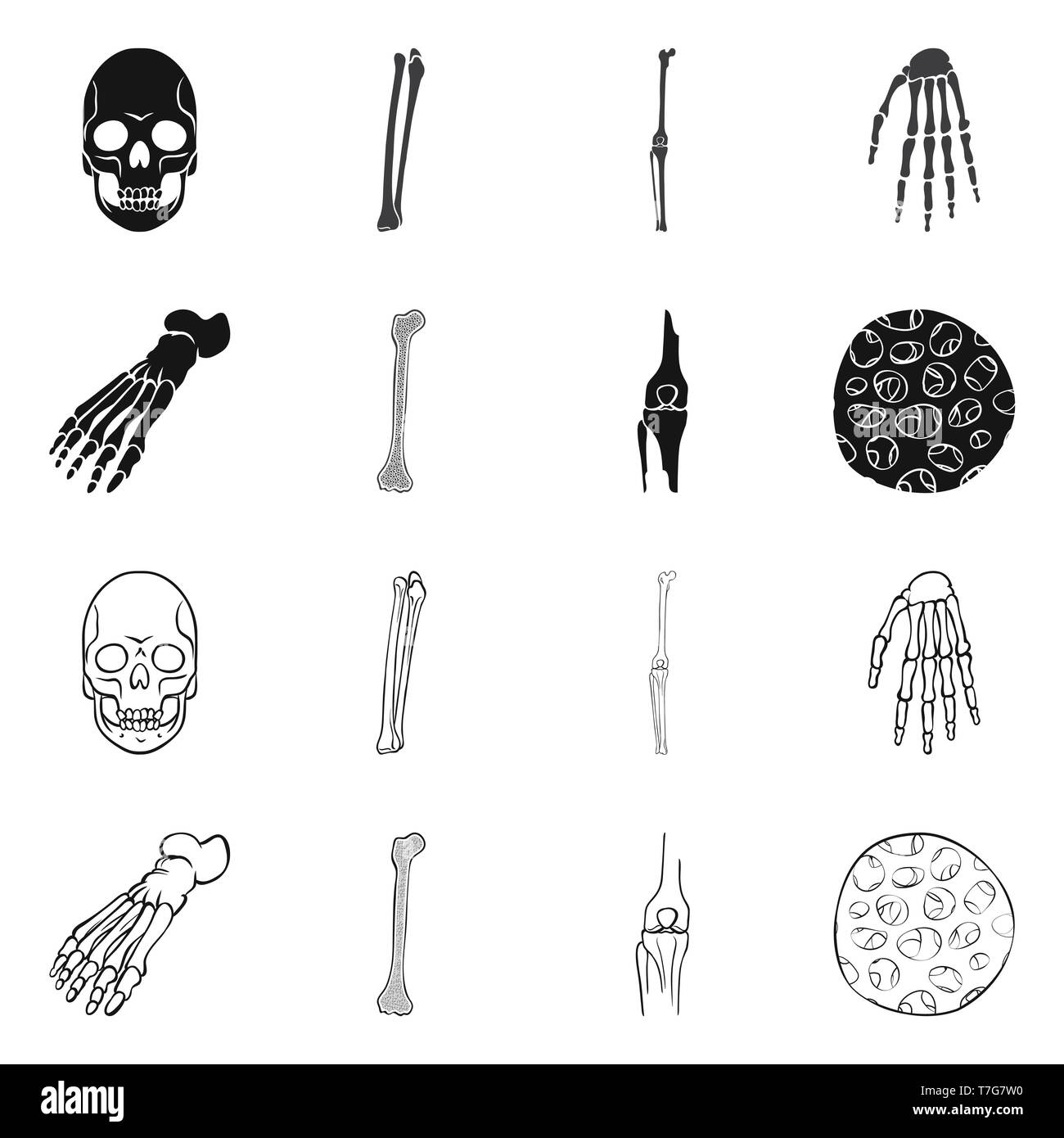 Crâne,fémur genou,poignet,pieds,fibres,mort,,joints,vente,cheville,osseuses,sain,monster,jambe,ménisque,calcium,scientifique,mal,le corps,la structure de la podologie,horreur,muscle tibia,bras,avant-pied,épithélium,tatouage,,péroné,carpe,panneaux,médecine, biologie médicale,clinique,os,squelette,anatomie,des,organes,,set,icône,,illustration,collection,isolé,design,graphisme,élément vecteur vecteurs,signer , Illustration de Vecteur