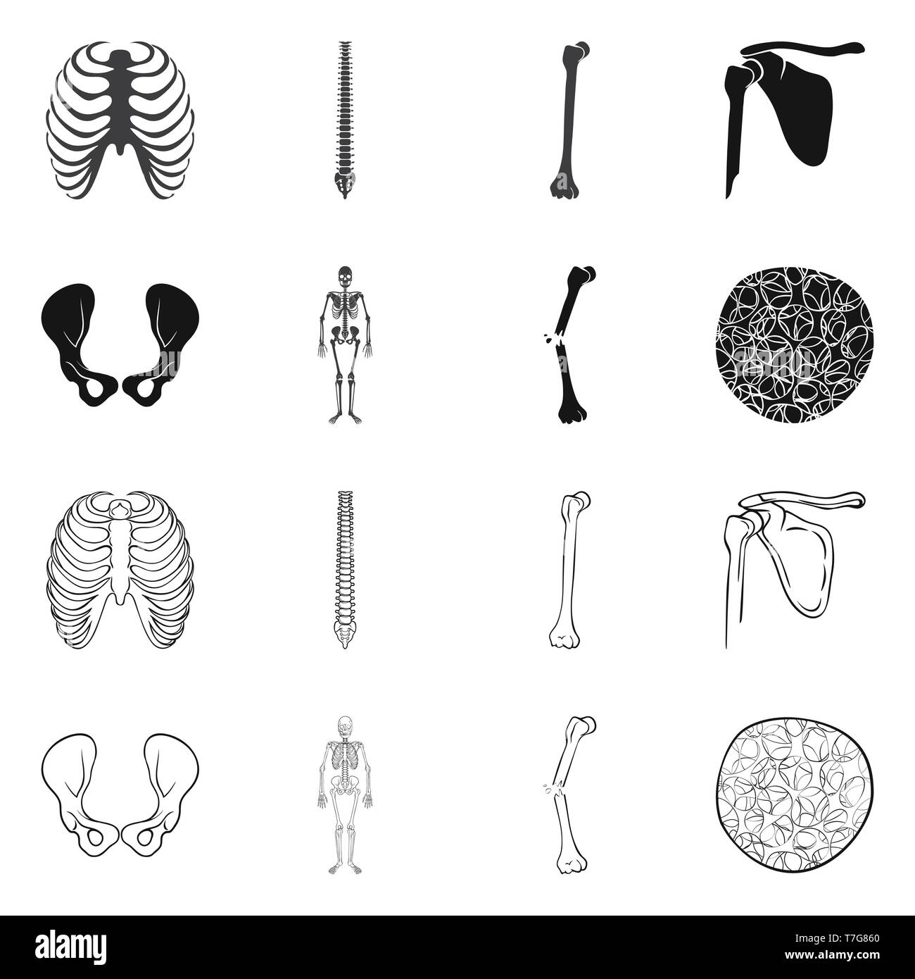 Nervure, colonne vertébrale, hanche fémur,,appareil locomoteur Fracture,,ostéoporose,,cage brisée,chiropratique,bassin,joints,scientifique,la douleur,cell,xray,ossature,péroné,tissu,biais,squelettique,body,moelle,shin,chirurgie pelvienne,dommage,conjonctif,tibia,en bonne santé,médecine,clinique,biologie,médical,os,,squelette anatomie,des,organes,,set,icône,,illustration,collection,isolé,design,graphisme,élément vecteur vecteurs,signer , Illustration de Vecteur