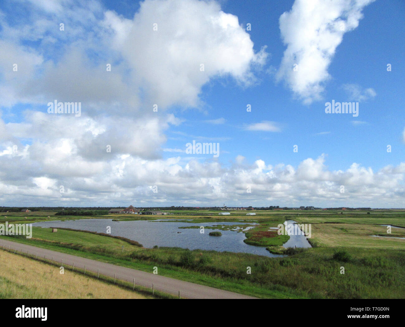 De Petten sur l''île de Texel, aux Pays-Bas. Une petite réserve de terres humides hébergeant une grande colonie d'oiseaux au printemps et en été. Voie publique dans foregro Banque D'Images