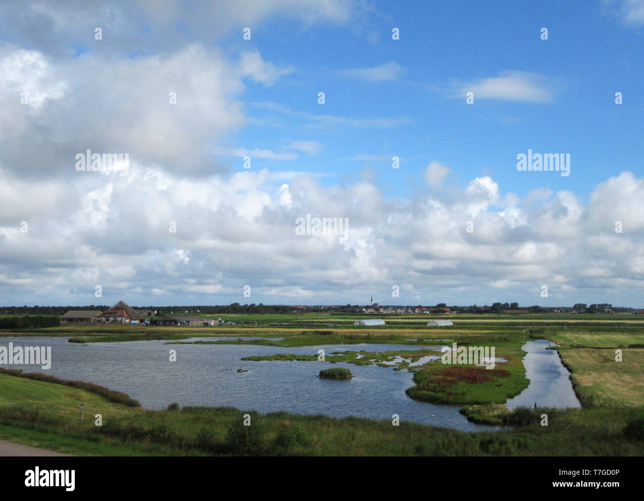De Petten sur l''île de Texel, aux Pays-Bas. Une petite réserve de terres humides hébergeant une grande colonie d'oiseaux au printemps et en été. Banque D'Images