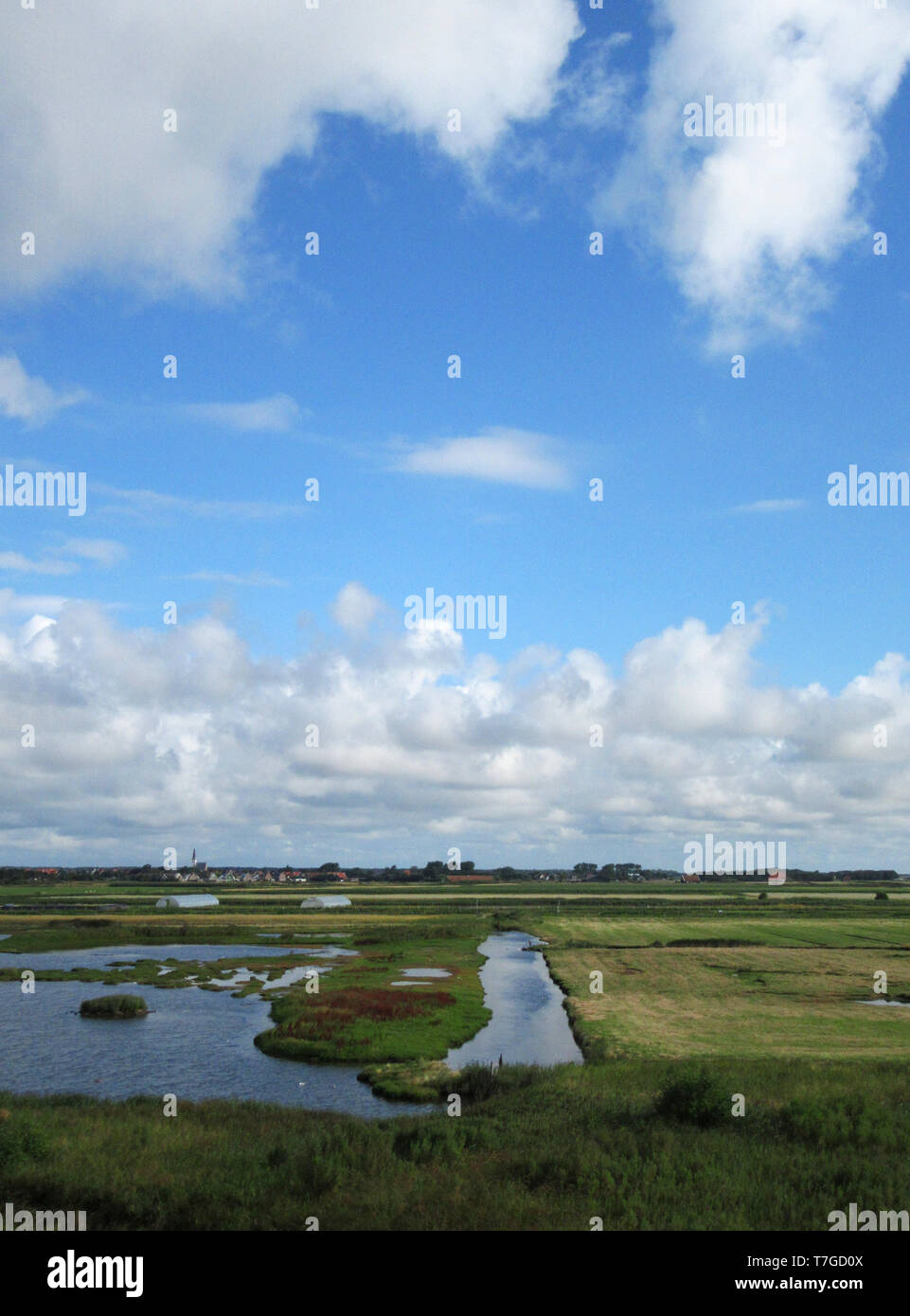 De Petten sur l''île de Texel, aux Pays-Bas. Une petite réserve de terres humides hébergeant une grande colonie d'oiseaux au printemps et en été. Nuages sur la prairie Banque D'Images