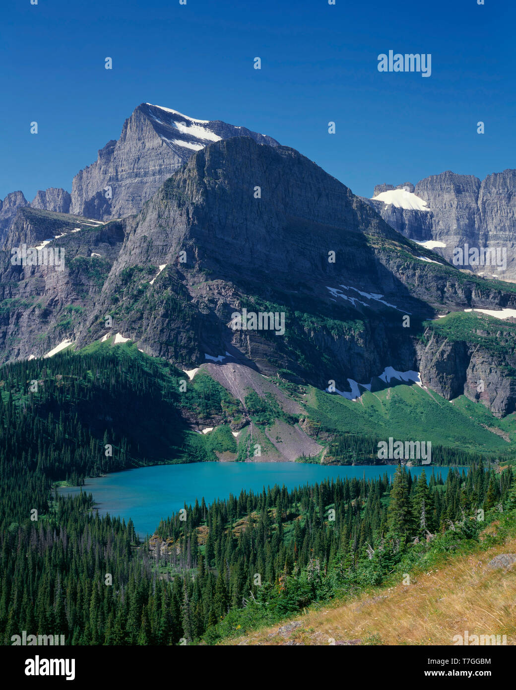 USA, Montana, Glacier National Park, Mount Gould et Angel tour d'aile au-dessus de Grinnell Lac qui est colorée par le limon glaciaire. Banque D'Images