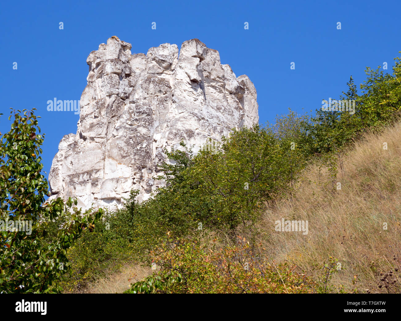 Falaises de craie sur le territoire de la réserve naturelle de Divnogorsky, région de Voronezh Banque D'Images