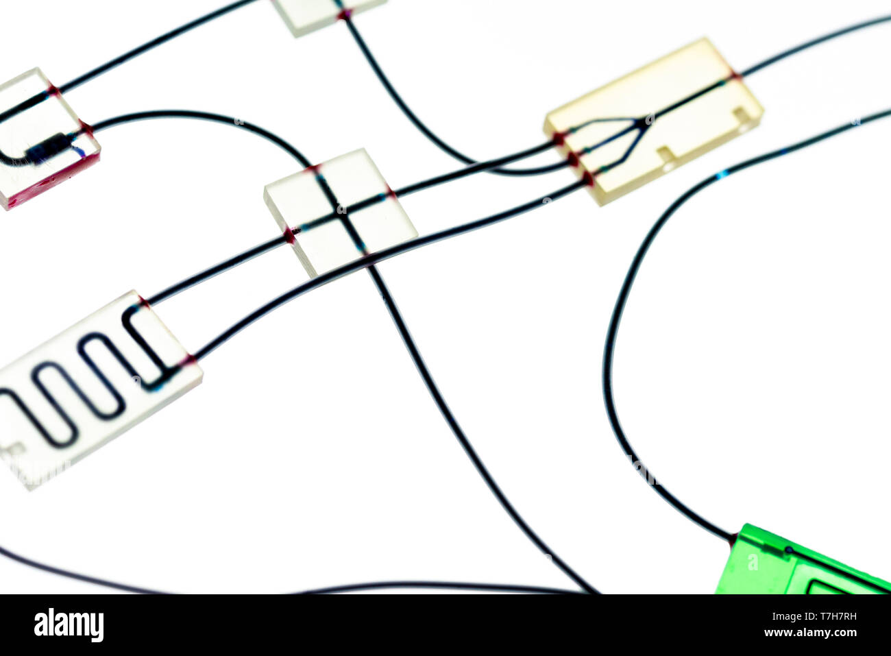 Organe-sur-puce (OOC) - dispositif microfluidique puce qui simule les organes biologiques c'est le type d'organes artificiels. Conception de prototypes de laboratoires sur puce Banque D'Images