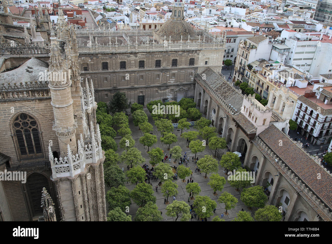 L'Espagne. L'Andalousie. Séville. Grande Mosquée. L'Oranger cour intérieure. 12e siècle. La Cathédrale de Séville. Banque D'Images