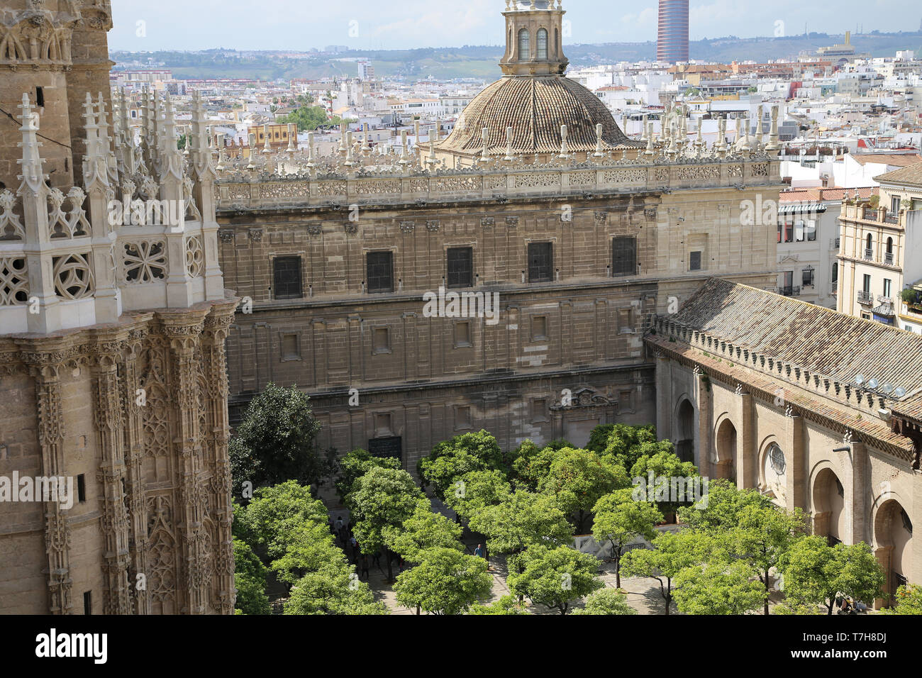 L'Espagne. L'Andalousie. Séville. Grande Mosquée. L'Oranger cour intérieure. 12e siècle. La Cathédrale de Séville. Banque D'Images