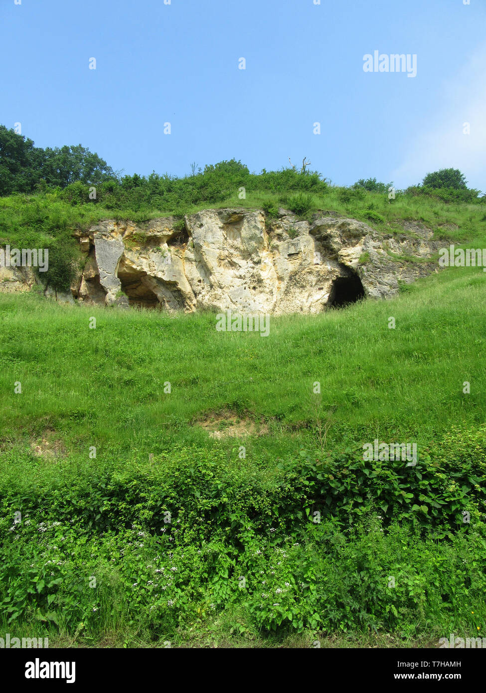 Vertical image réserve naturelle de Bemelerberg dans le Limbourg, Pays-Bas. Merl cave dans l'herbe verte couverte basse colline. Banque D'Images