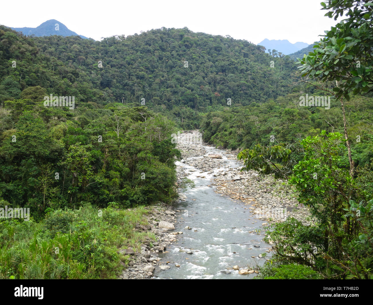Rivière qui coule avec des pierres dans la partie inférieure de la route de Manu sur côté est la pente de la Cordillère des Andes au Pérou. Pentes boisées de part et d'autre. Banque D'Images