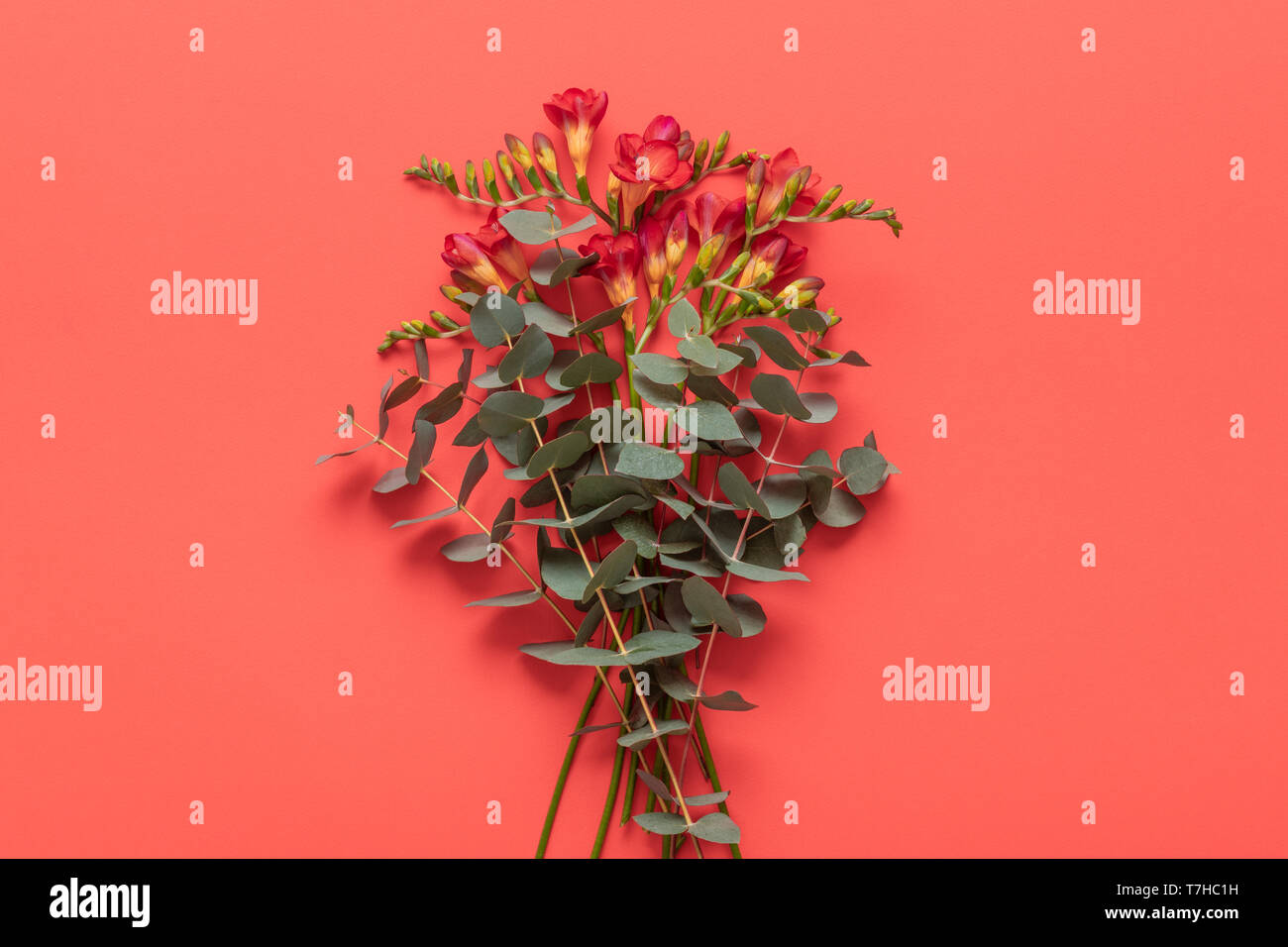 Happy Mother's Day, Journée de la femme, la Saint Valentin ou anniversaire de coraux vivants fond couleur Pantone. Carte de vœux laïcs télévision corail avec belle fleur Banque D'Images