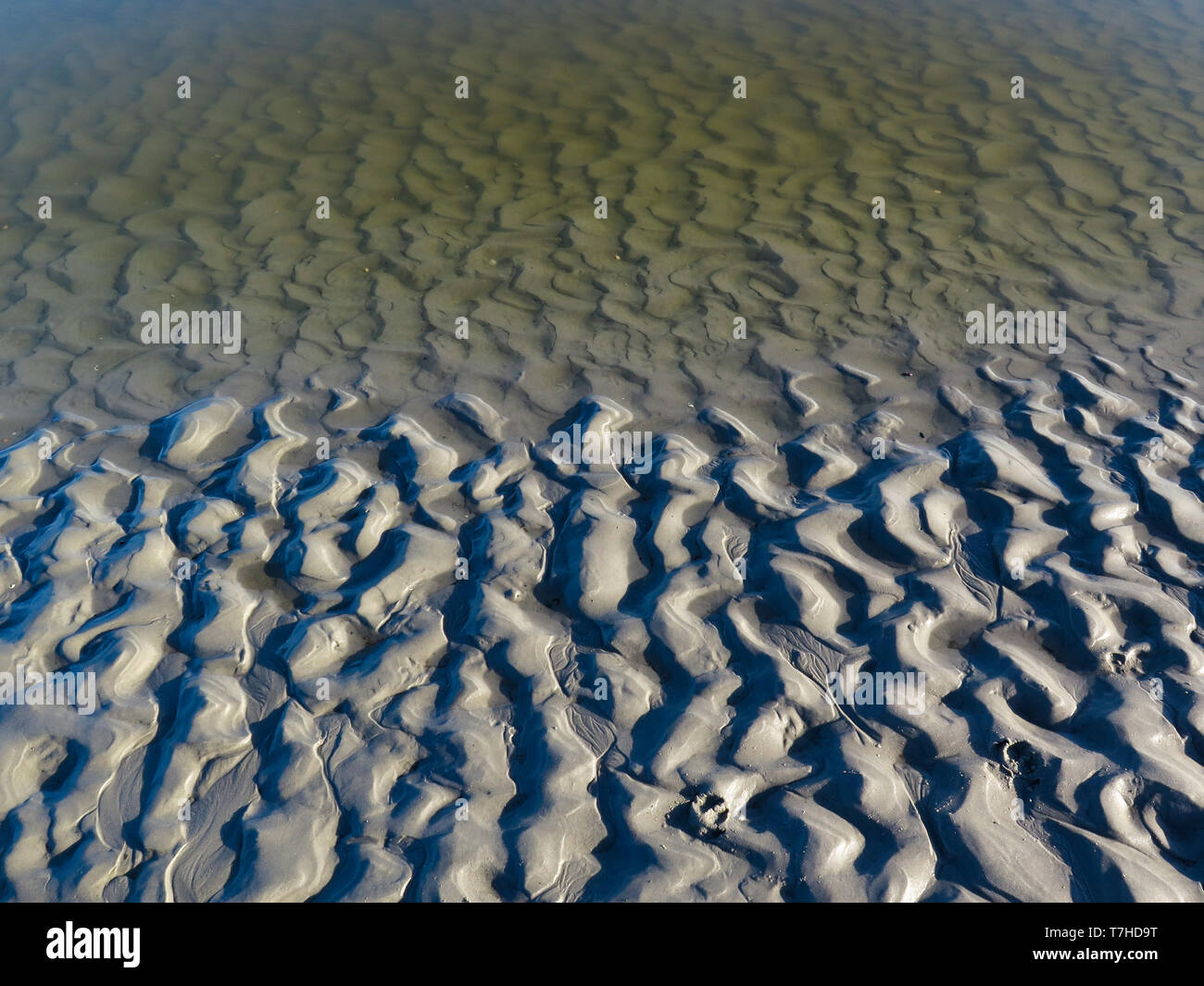 Les modèles sur la plage de sable Banque D'Images