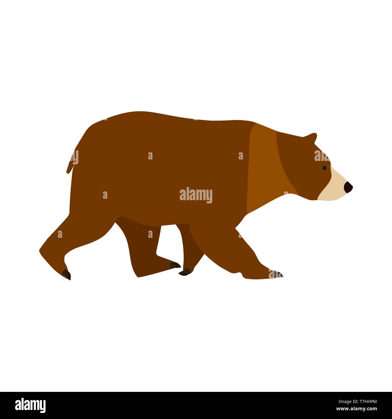 Brown Bear icône vecteur symbole de caractère Vue de côté. Cute animal mammifère prédateur grande illustration. Grizzly Zoo cartoon Illustration de Vecteur