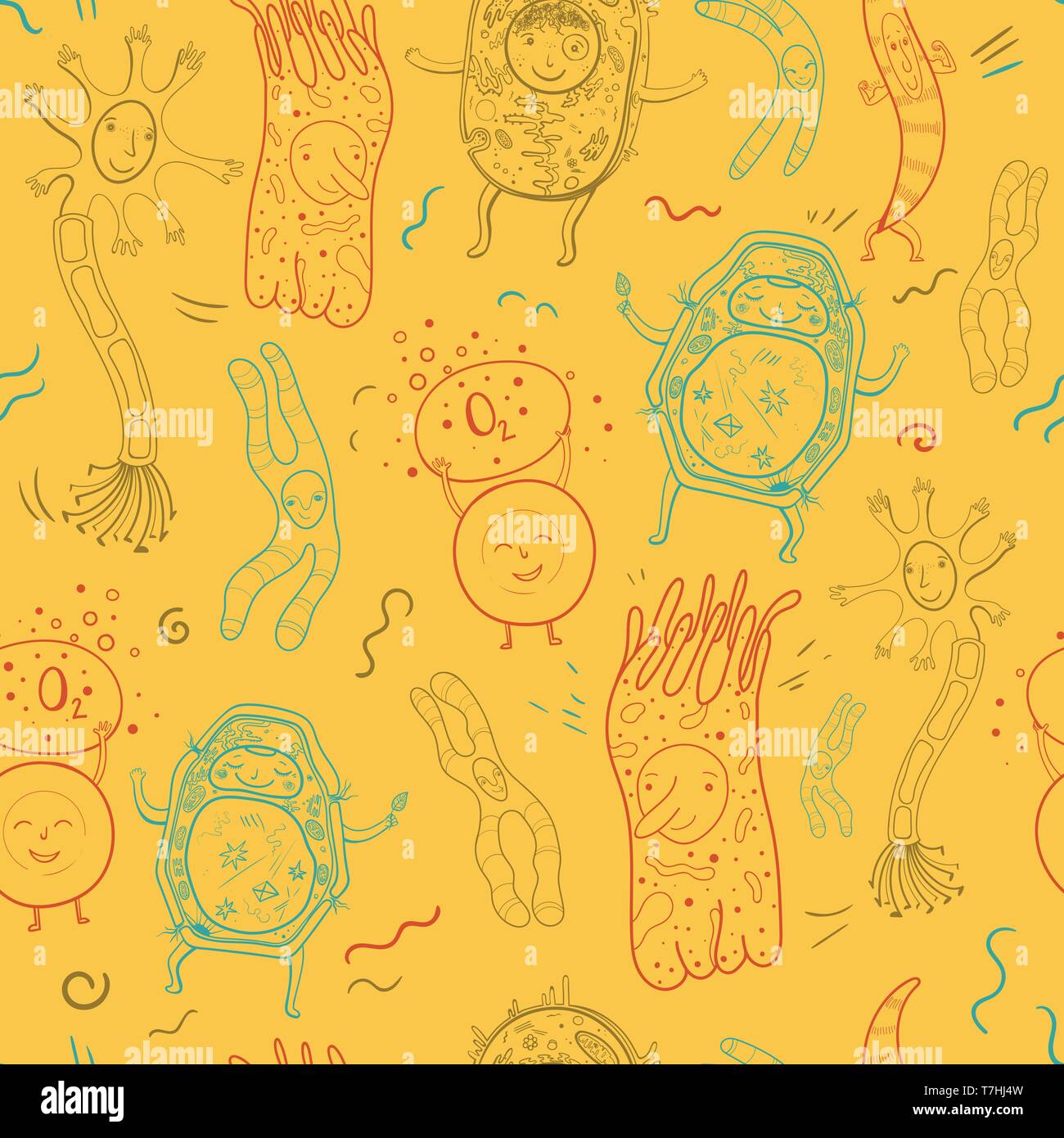 Modèle logique biologique vecteur avec les cellules animales et végétales et de chromosomes. Illustration de contour pour l'école et les enfants. Illustration de Vecteur