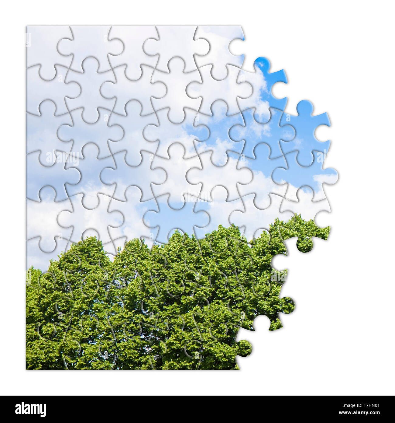 Les arbres verts contre un ciel nuageux - notion de droit en forme de puzzle Banque D'Images