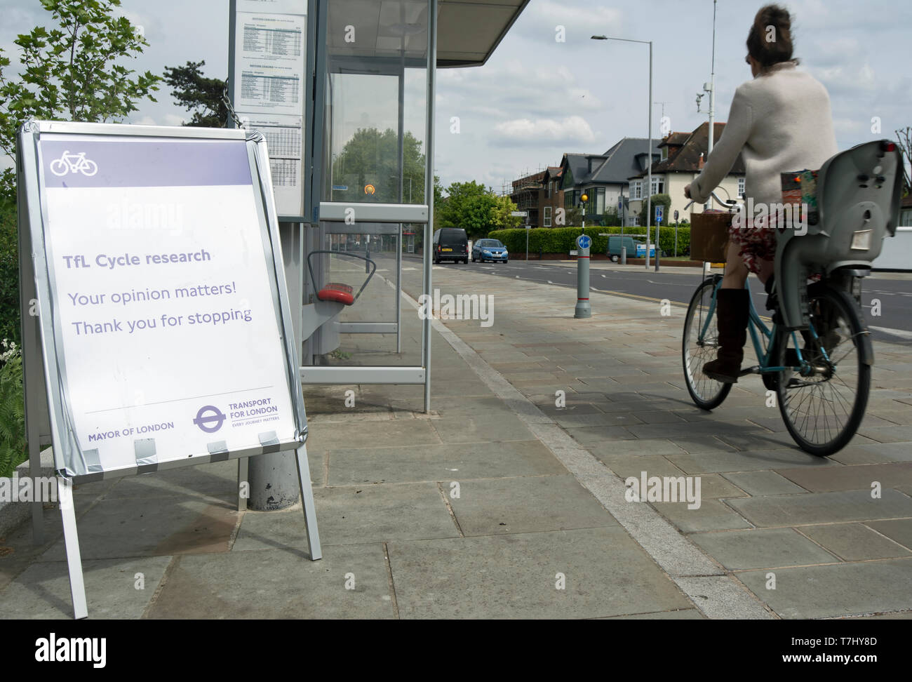 Cycliste féminine passe une enseigne temporaire indiquant Transport for London et bureau du maire cycle research, votre opinion compte, Kingston, en Angleterre Banque D'Images