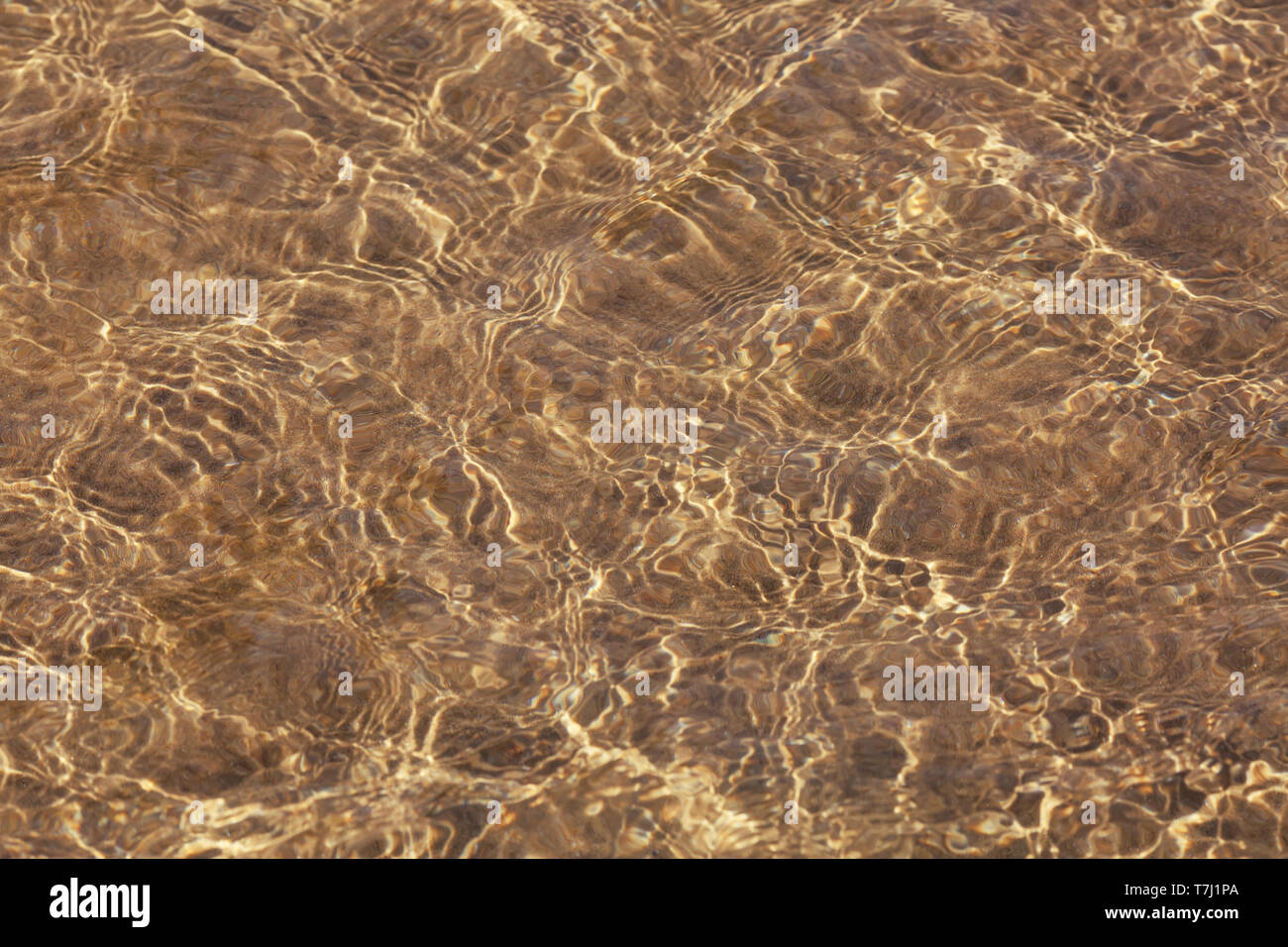L'eau de mer claire et fond de sable. Le sable à travers la texture eau transparente. Banque D'Images