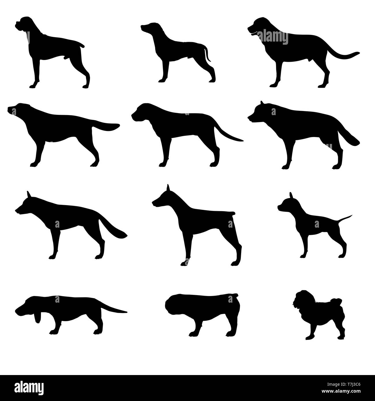 Icône vecteur silhouette chien animal animaux isolés set collection illustration noir Illustration de Vecteur