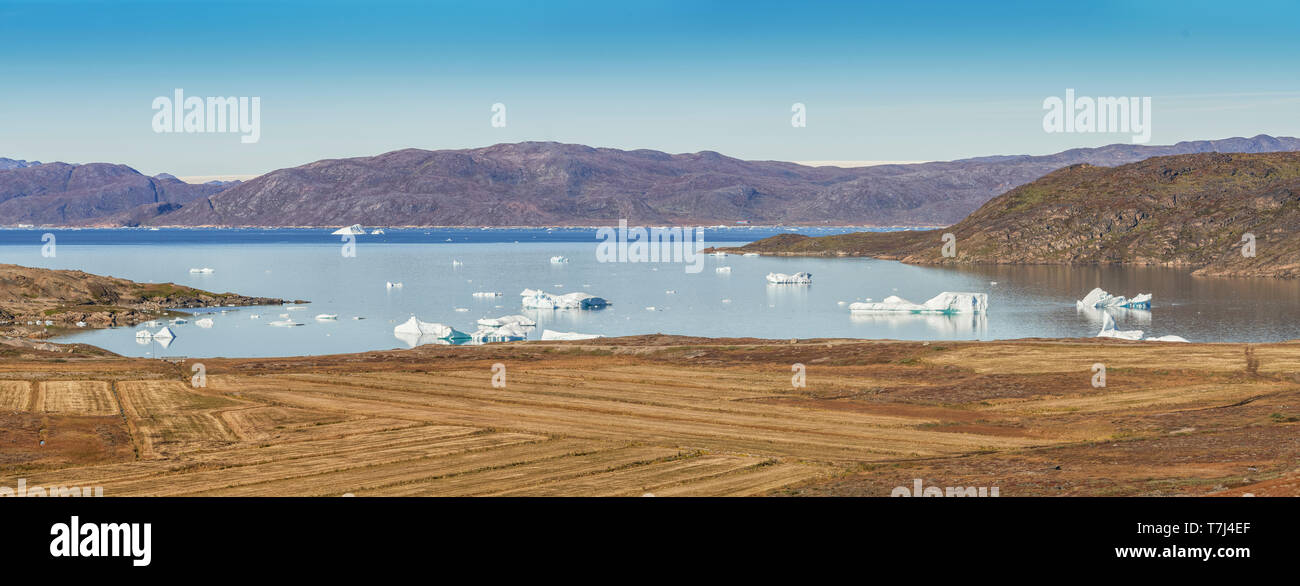 Les icebergs, Narsaq, Groenland Banque D'Images