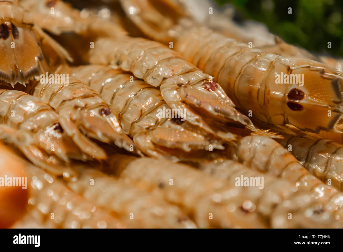 Squilla Mantis mantis (frais) de crevettes sur le marché aux poissons Banque D'Images