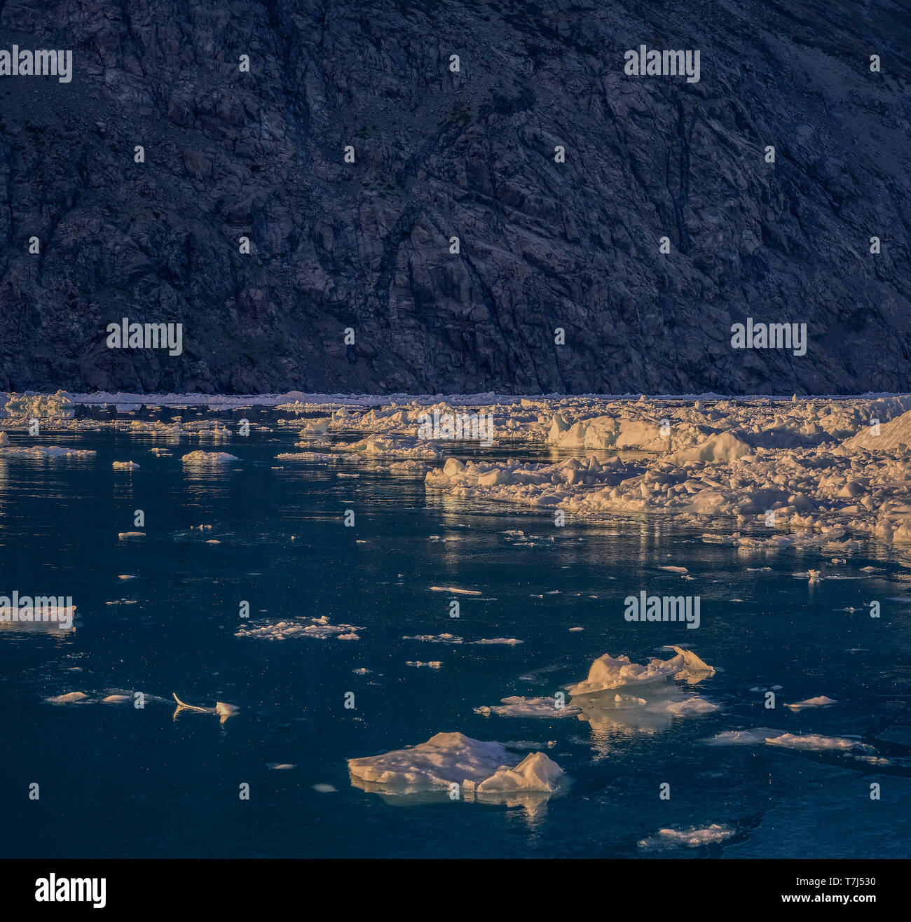 Les icebergs du Groenland, Fjord glacé, Banque D'Images