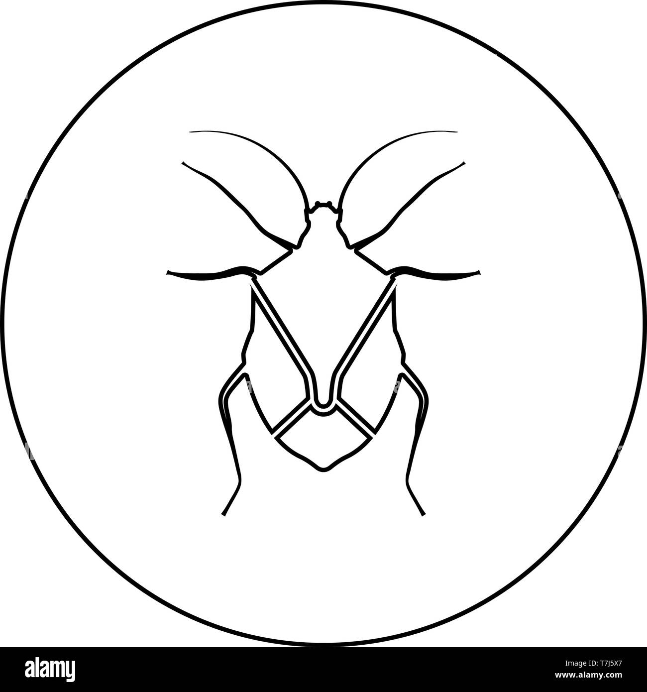 Punaise punaise vrai bug bugs Hemipterans icône d'insectes ravageurs en cercle noir contour vector illustration couleur style plat simple image Illustration de Vecteur