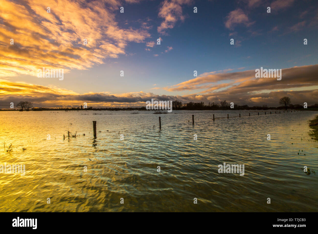 Paysage IJssel aux pays-Bas. Banque D'Images