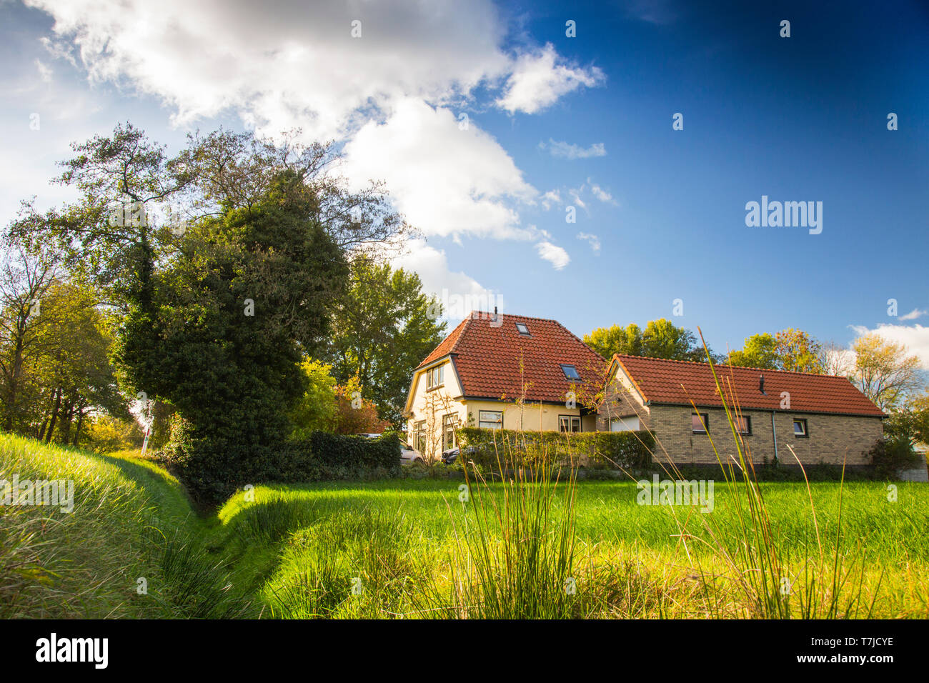 Vieille maison à la campagne Banque D'Images