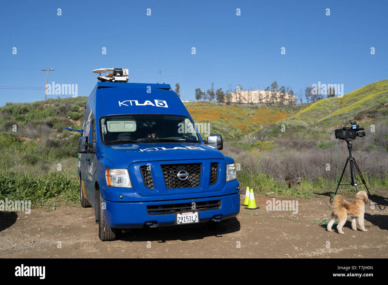 Lake Elsinore, Californie - le 22 mars 2019 : Les 5 News van, KTLA une station de télévision affiliée-CW, prépare en direct des champs de pavot Banque D'Images