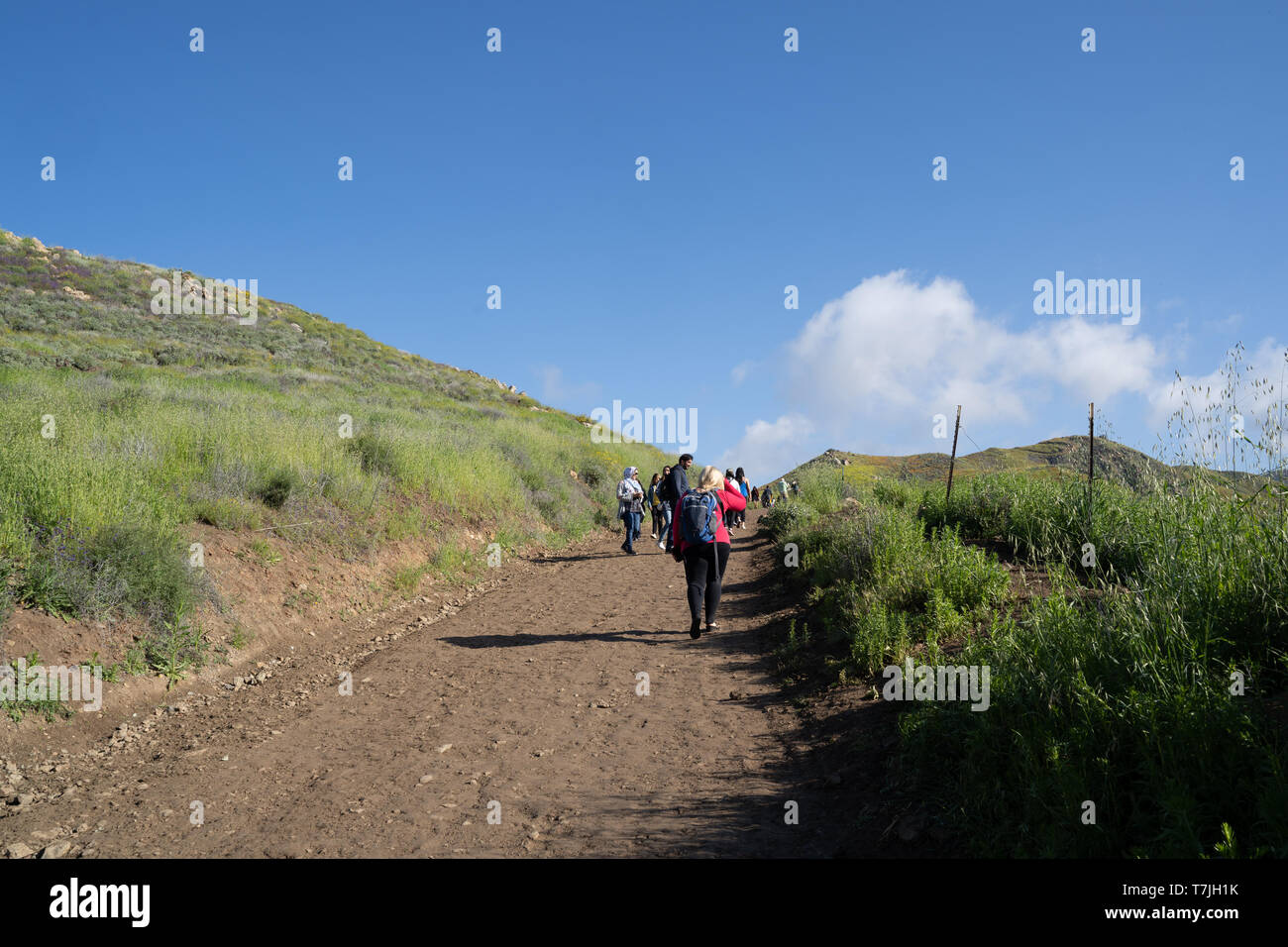 Lake Elsinore, Californie - le 22 mars 2019 : les touristes et randonneurs à pied le long du sentier du Canyon Walker au cours de la fleur de pavot superbloom Banque D'Images