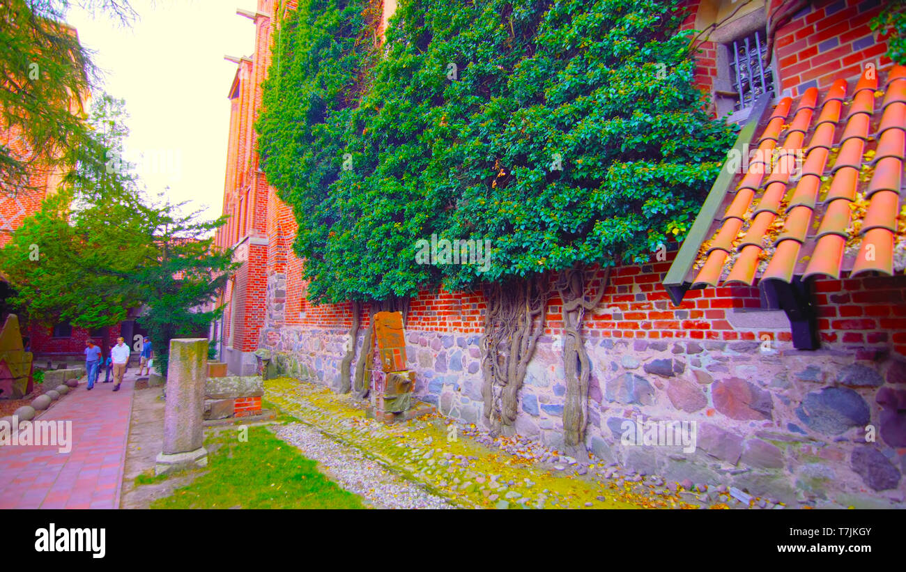 Un beau coup d'arbres jouxtant le mur et qu'un passage à un petit jardin 1;2019 Banque D'Images