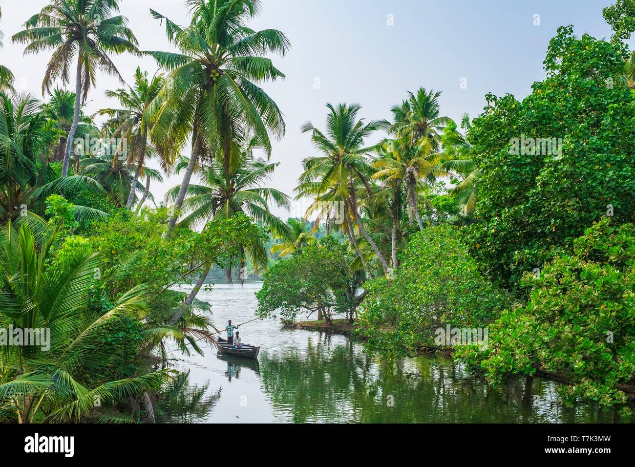 L'Inde, Etat du Kerala, district de Kollam, Munroe island ou Munroturuttu, Inland Island au confluent de la Rivière du lac Ashtamudi et Kallada, backwaters (lagunes et canaux réseaux) Banque D'Images