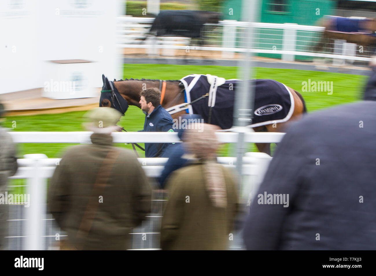 Kelso, Scottish Borders, au Royaume-Uni. 8e mai 2019. Défilé de chevaux dans le paddock avant la Villa Sandi Obstacle Handicap Chase à l'Hippodrome de Kelso. Credit : Scottish Borders Media/Alamy Live News Banque D'Images