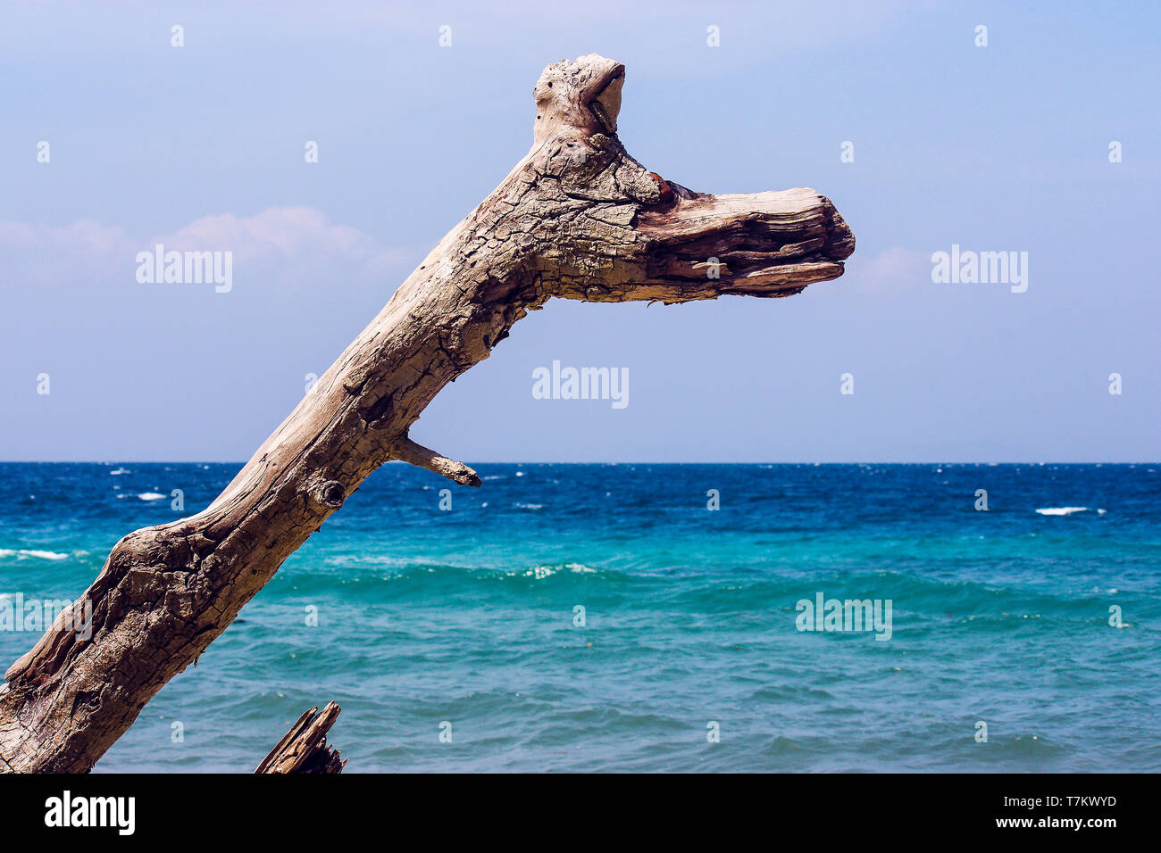 Libre de la direction générale à sec en face de la mer de Havelock Island, îles Andaman et Nicobar Banque D'Images