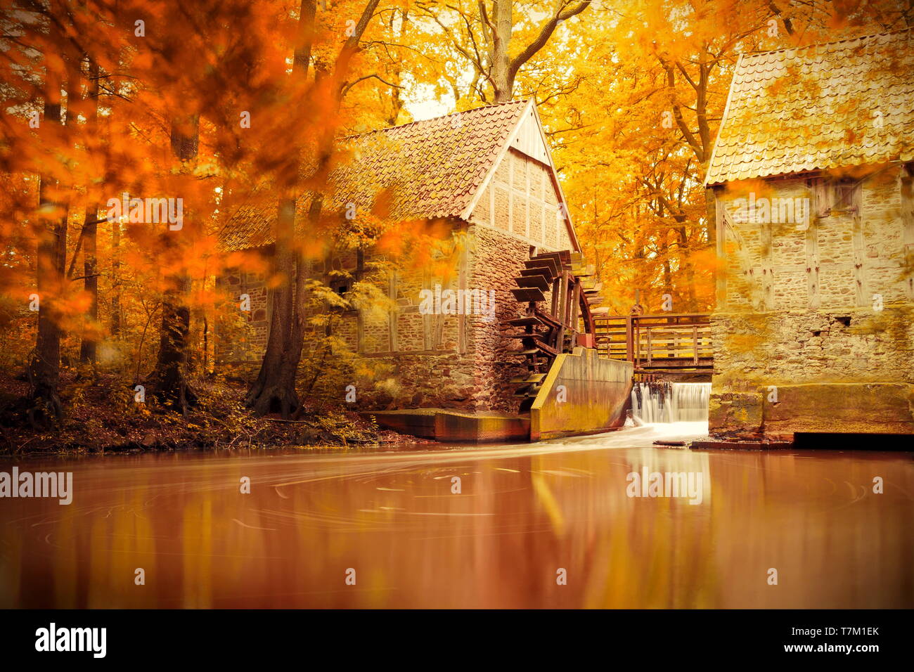 Automne, Automne, Mill, la nature Banque D'Images