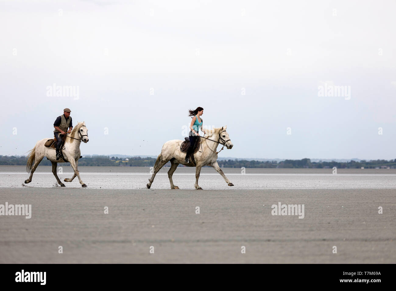 Traversée de la baie sur le sable du Mont Saint Michel sur les chevaux, Normandie, France Banque D'Images