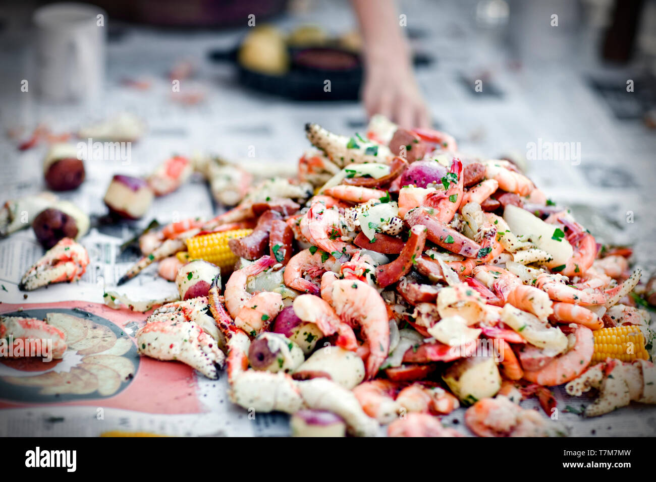 Pile de fruits de mer Banque D'Images