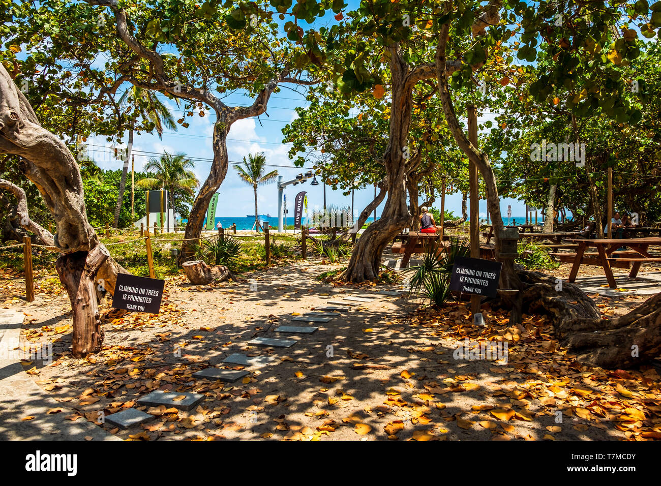 L'ombre dans le parc, Fort Lauderdale, Floride Banque D'Images