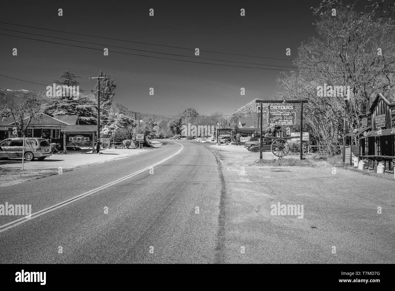 Street view dans la forêt nationale de Sequoia - RIVERKERN, UNITED STATES OF AMERICA - Mars 29, 2019 Banque D'Images