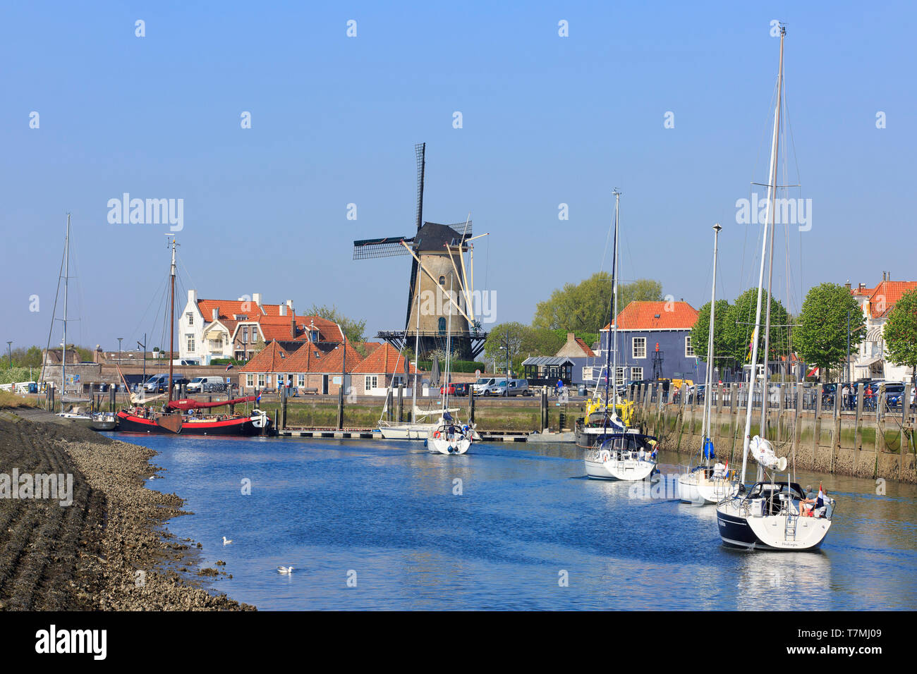 Yachts, sur leur façon de l'Escaut oriental, voile passé le moulin du xviiie siècle 'Den Haas' à partir de 1727 à Zierikzee (225), Pays-Bas Banque D'Images