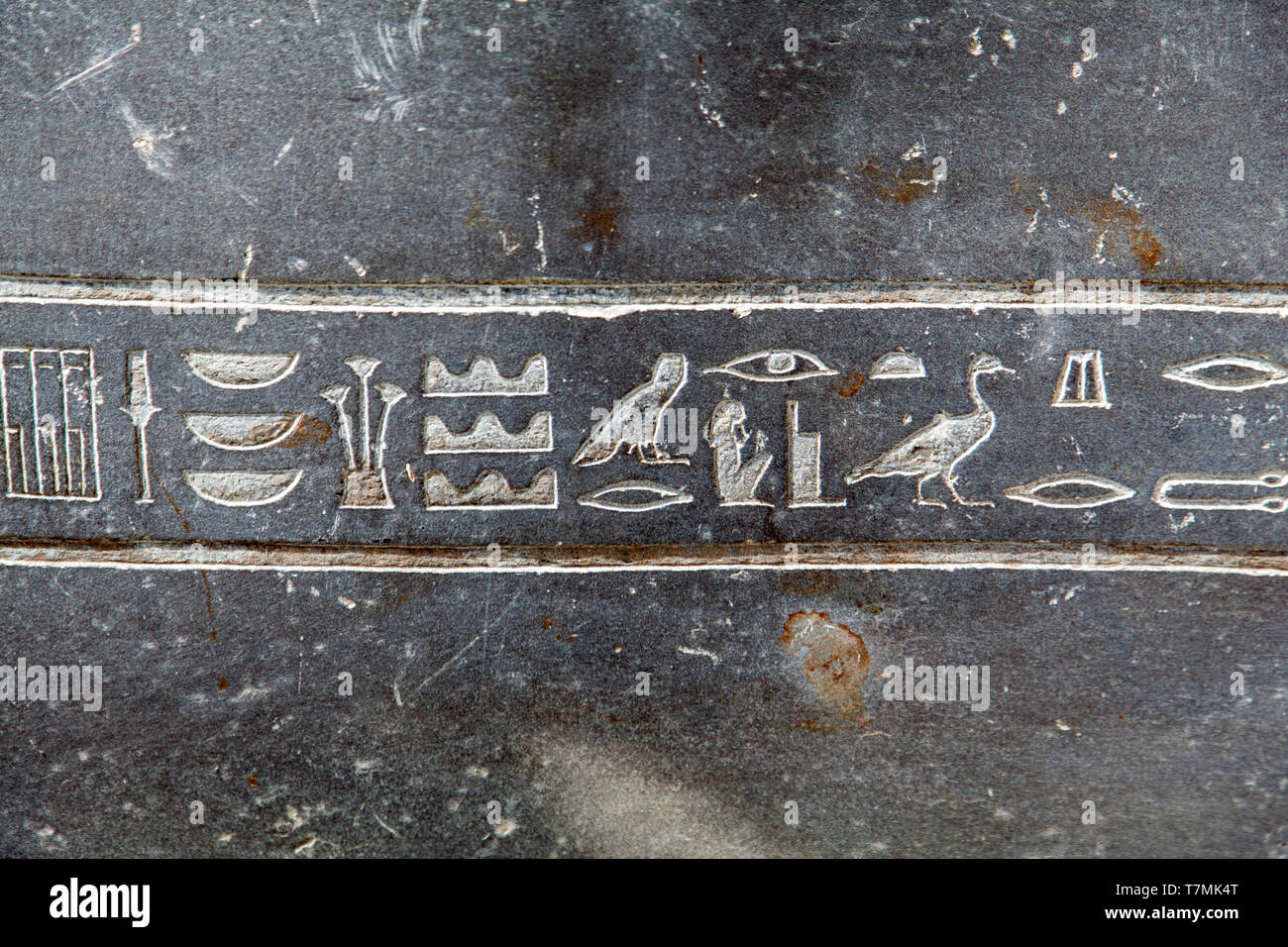 Les hiéroglyphes égyptiens au Musée du Vatican, Cité du Vatican, Rome, Italie Banque D'Images