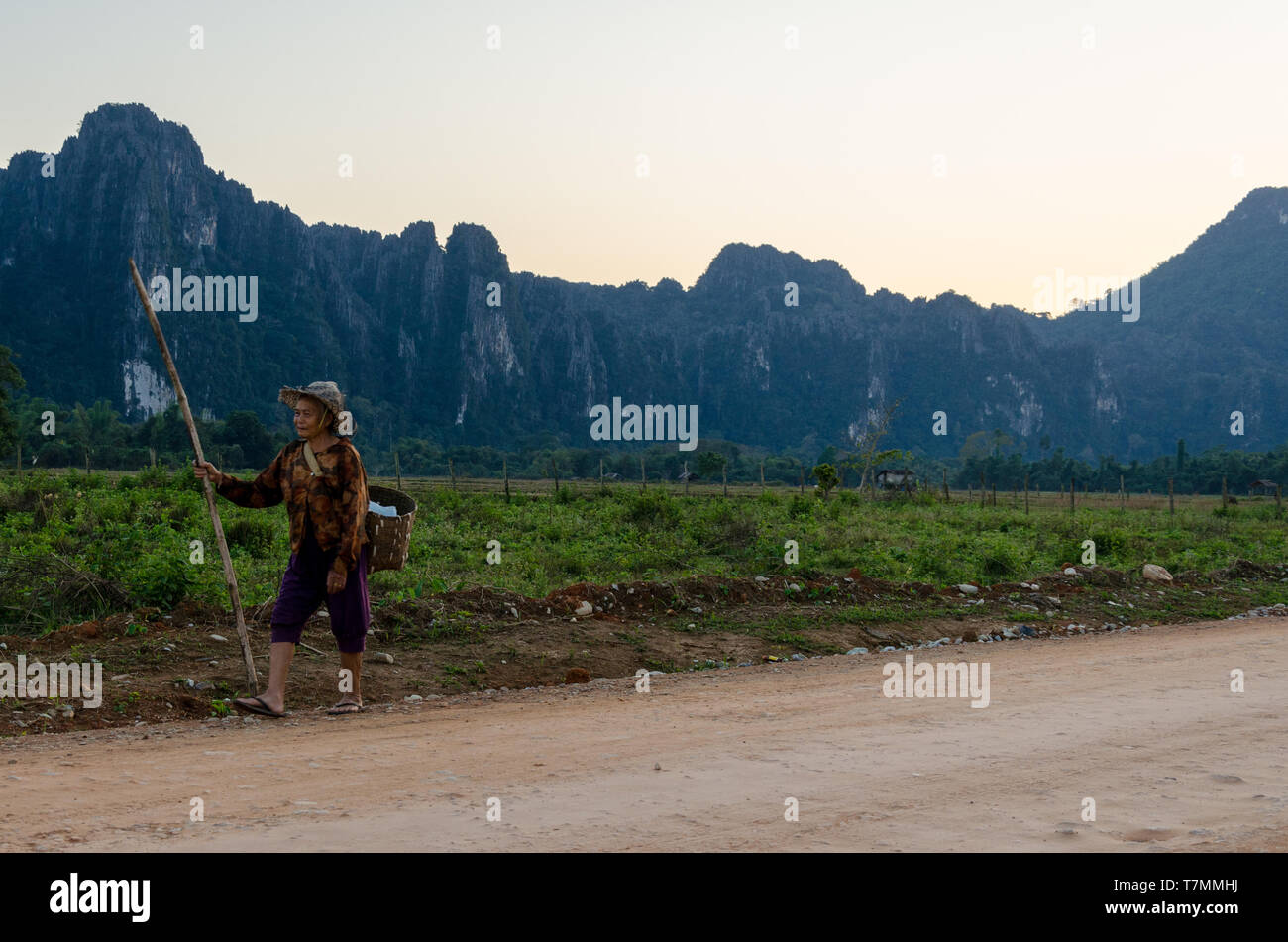 Un agriculteur promenades retour à l'accueil après une journée sur le terrain, Vang Vieng, Laos Banque D'Images